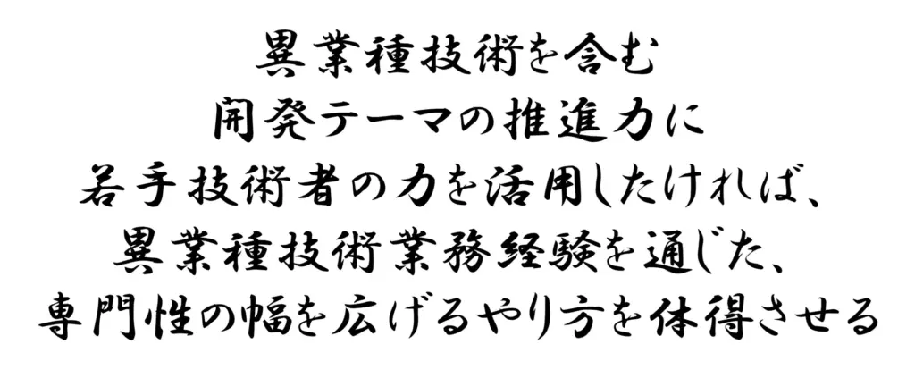 異業種技術を含む開発テーマの推進力に若手技術者の力を活用したければ、異業種技術業務経験を通じた、専門性の幅を広げるやり方を体得させる